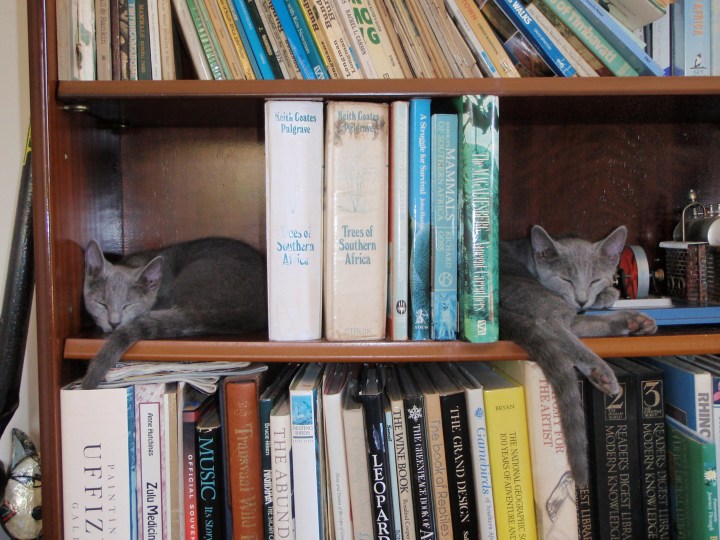 Bookends