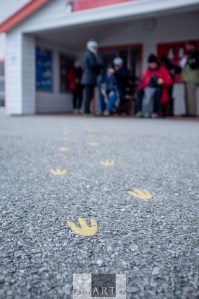 Penguin prints lead tourists to retail therapy