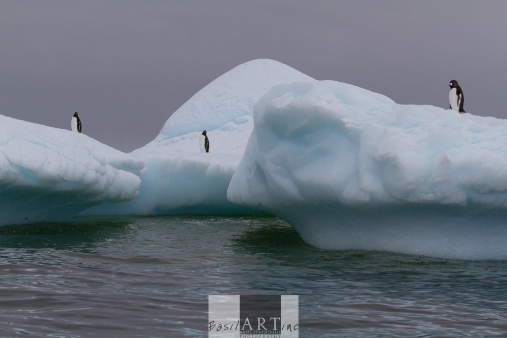 Three pairs of happy feet