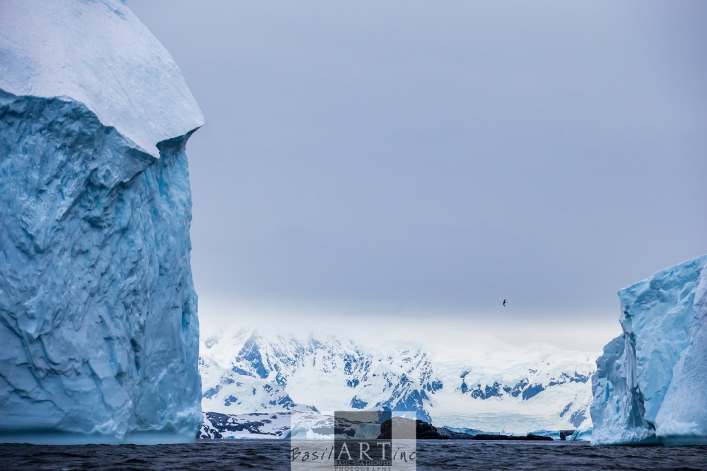 Giant icebergs in front of a Giant Continent